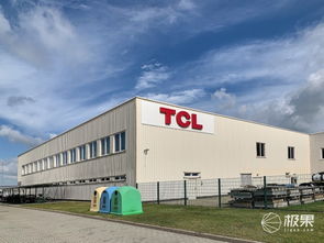 對話王成 TCL如何在2020年躋身歐洲前三，國內(nèi)貿(mào)易代理又扮演何種角色？