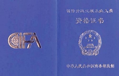 經貿天下的助航人——報關與國際貨運專業與國內貿易代理
